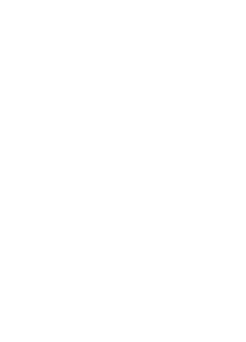 Ferra logo